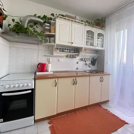 Appartement Danube à Vukovar Extérieur photo