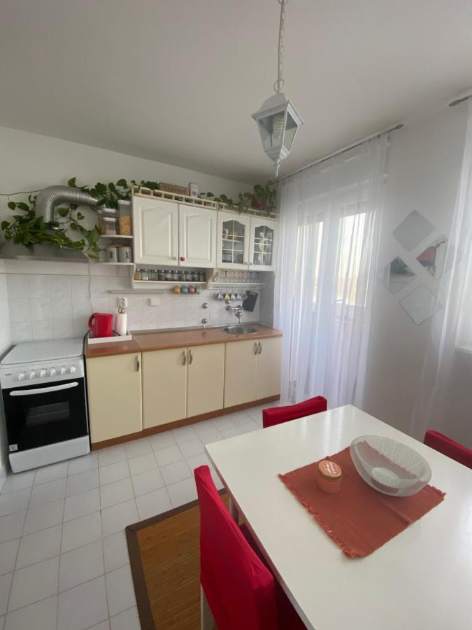 Appartement Danube à Vukovar Extérieur photo