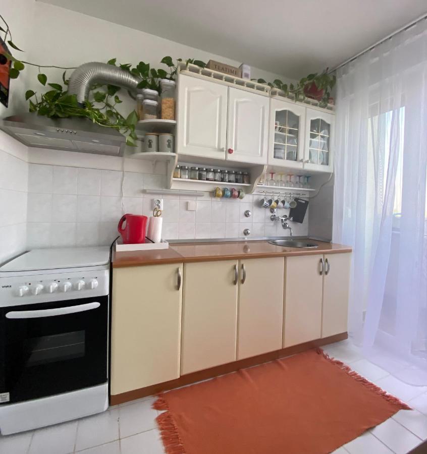 Appartement Danube à Vukovar Extérieur photo